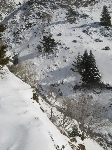 /Ski/2008/Images/1498/mini-Photo FRe 004Icon.jpg